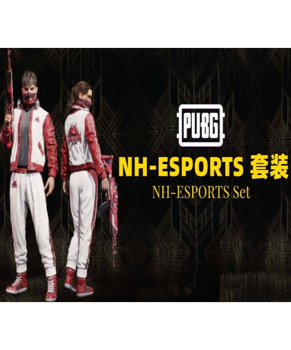 PUBG - NH-ESPORTS Set DLC Digital Steam Key GLOBAL